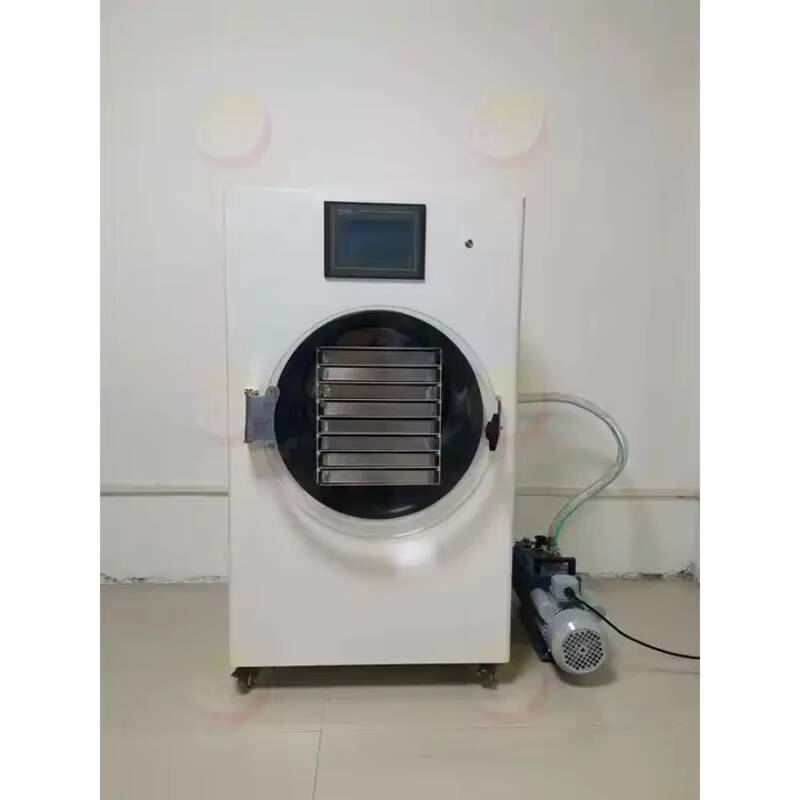 Vacuum Chamber Small - Mesin Pengering Beku Vakum Kecil untuk