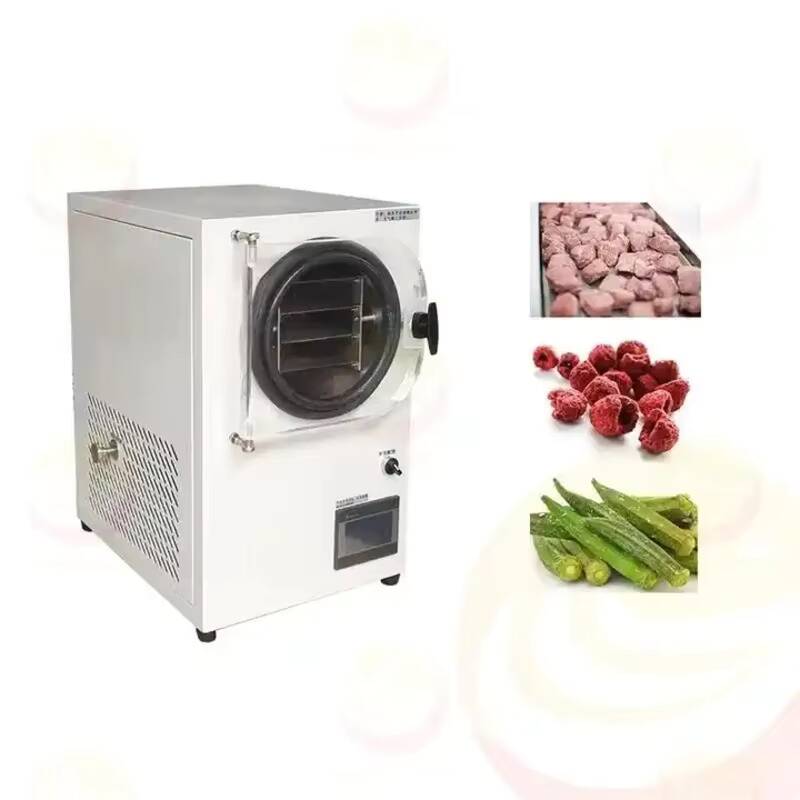 Mesin Pengering Beku Vakum Kec - Vacuum Chamber Small ulasan dan harga