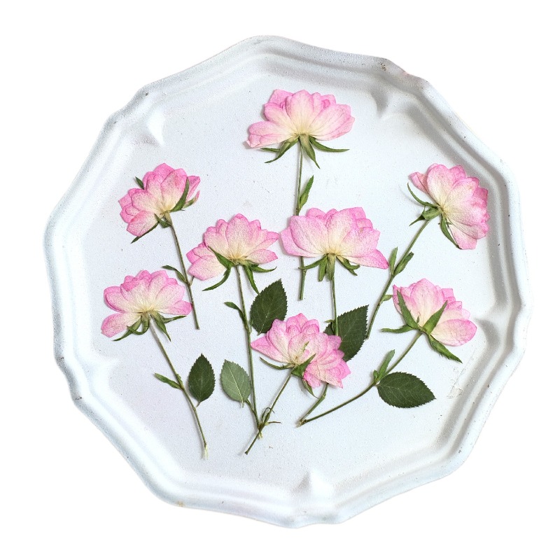 12pcs, Bunga Kering Asli untuk - Resin Craft Ideas ulasan dan harga
